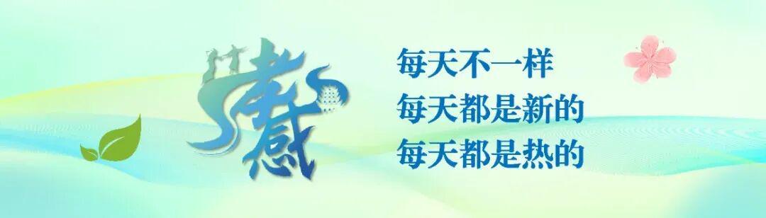 绿茵体育官方网站-孝感孝傲江湖队，赢了！3:0！